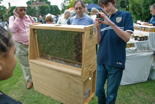 West London GreenFest &copy; 2007, Peter Marshall