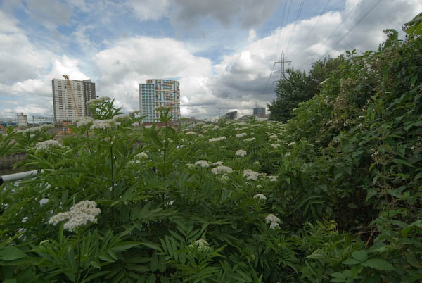 Olympic site &copy; 2007, Peter Marshall