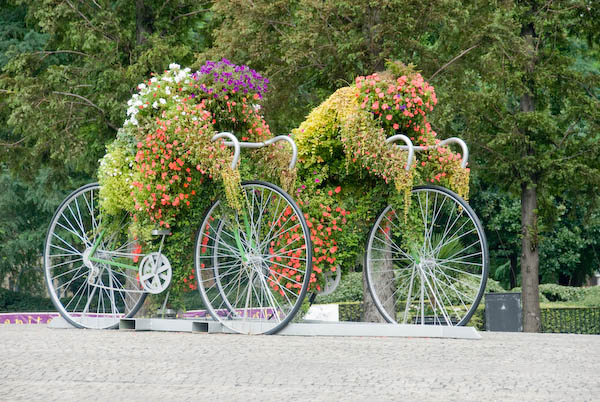The Great River Race
